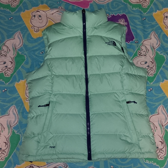 The North Face Jackets & Blazers - The North Face Goose Down 700 Puffer Vest Jacket